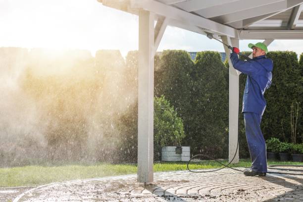 Best Fence Cleaning  in Weedpatch, CA